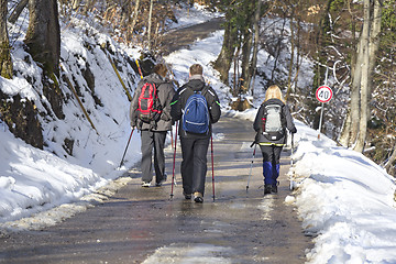 Image showing Trekking in the snow forest