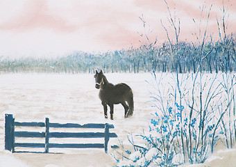 Image showing Frisian horse in a snowy meadow