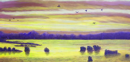 Image showing Sunset at the lake, birds in the sky