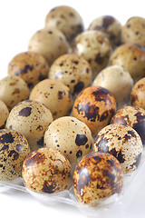 Image showing quail eggs