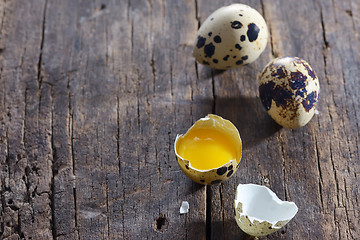 Image showing quail eggs