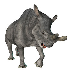 Image showing Brontotherium