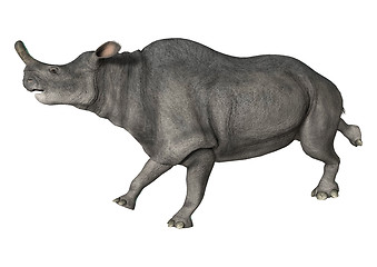 Image showing Brontotherium