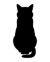 Image showing Cat on white