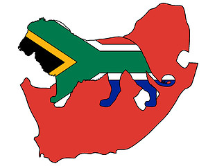 Image showing Lion South Africa