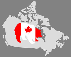 Image showing Canadian grizzly