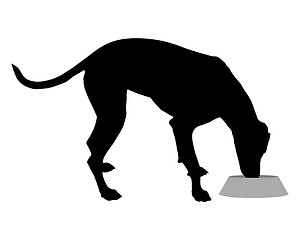 Image showing Dog with feeding dish 