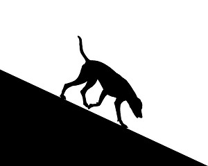 Image showing Dog runs downhill