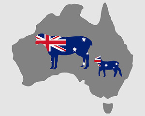 Image showing Australian sheeps