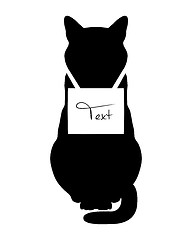 Image showing Cat on white