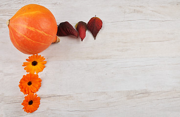 Image showing Pumpkin background