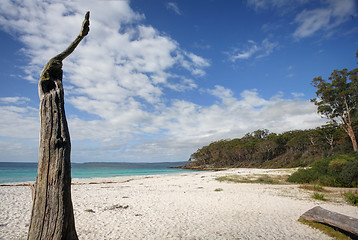 Image showing Greenfields Beach Jervis Bay Australia