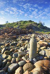 Image showing Mimosa Rocks