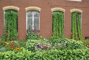 Image showing Windows on the brick wall