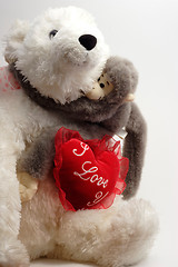 Image showing Valentine Bear Hug