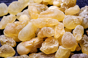 Image showing Olibanum, Boswellia serrata