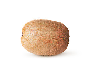 Image showing In Front Single Of Juicy Kiwi Fruit
