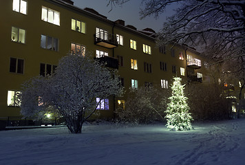 Image showing Christmas Tree in Snow