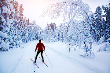 Image showing 	Cross-country skiing in Sweden