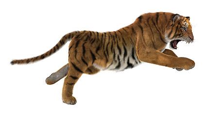 Image showing Hunting Tiger