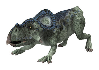 Image showing Dinosaur Protoceratops