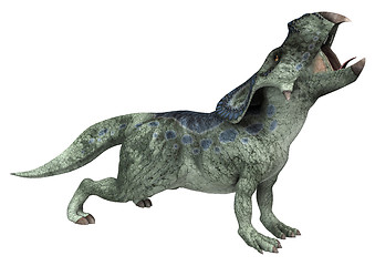 Image showing Dinosaur Protoceratops