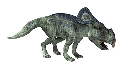 Image showing Dinosaur Protoceratops