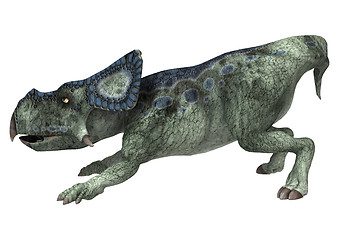 Image showing Dinosaur Protoceratops