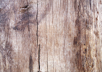 Image showing Brown wooden texture.