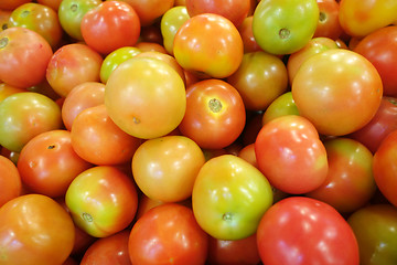 Image showing Red tomatos