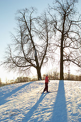 Image showing Girl enjoying cross-country skiing running up in sunny day