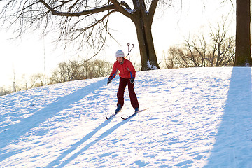 Image showing Girl enjoying cross-country skiing down in sunny day