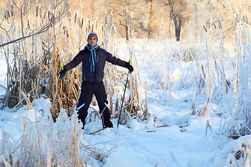 Image showing Boy cross country skiing in forest at sunny winter day