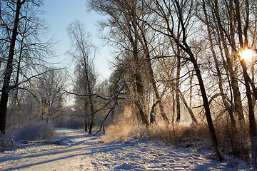 Image showing Footbridge on trail in winter forest. Rural landscape.