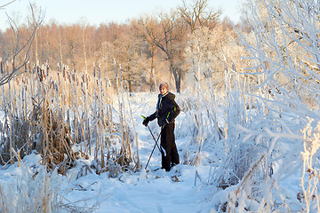 Image showing Boy cross country skiing in forest at sunny winter day