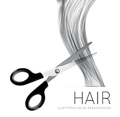 Image showing Hair and scissors on a white background