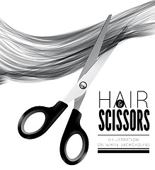 Image showing Hair and scissors on a white background