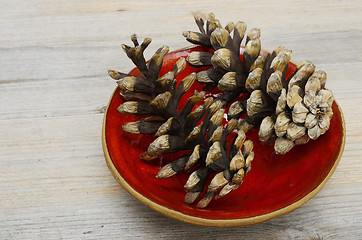 Image showing two pine cones on a red ceramic saucer