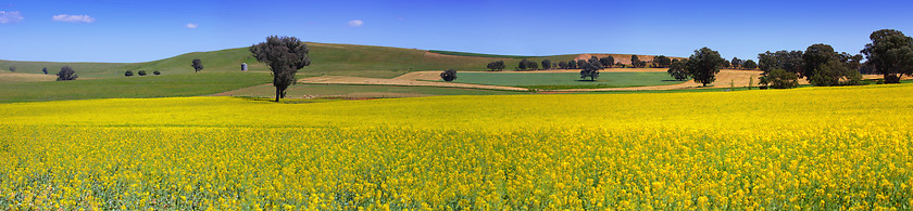 Image showing Country NSW farmland panorama