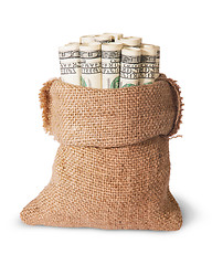 Image showing Vertical money in the bag