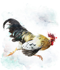 Image showing Rooster Running