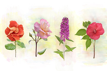 Image showing Flower Background