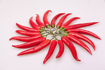 Image showing A circle of red chili