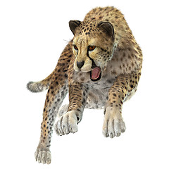 Image showing Hunting Cheetah