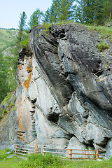 Image showing Ancient petroglyphs  near Kucherla. Mountain Altai