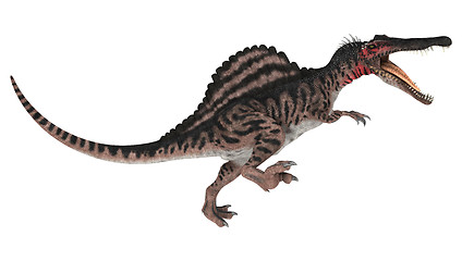 Image showing Dinosaur Spinosaurus