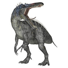 Image showing Dinosaur Suchomimus