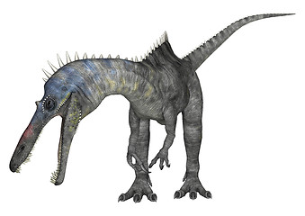 Image showing Dinosaur Suchomimus