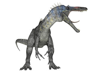 Image showing Dinosaur Suchomimus