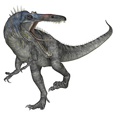 Image showing Dinosaur Suchomimus